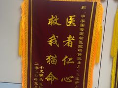 -中农国际动物医院24小时·猫科·骨科·急重症中心