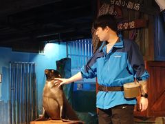 -常州海昌海洋探索馆