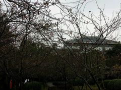-重庆平顶山公园