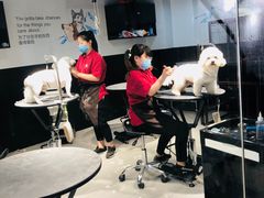 -宠物家(角门东店)