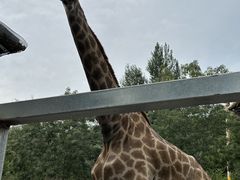 -水上乐园·欢乐世界