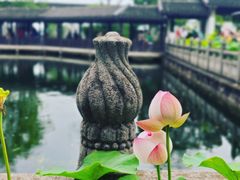 -无锡蠡湖国家湿地公园-蠡园