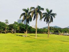 -紫马岭公园
