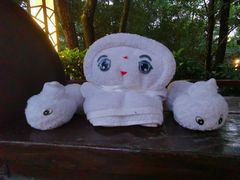 -天目湖涵田半山温泉水乐园
