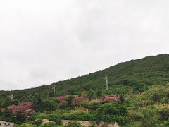 -石头会唱歌融来+北港岚台两岸交流中心