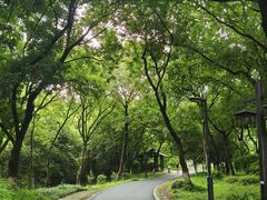 -中国湿地博物馆