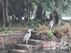 -东湖景区
