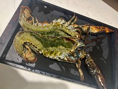 -海玥荟海鲜姿造自助餐厅(欧罗巴广场店)