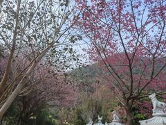 -灵光寺