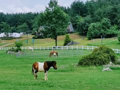 -云漫湖生态度假公园