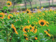 -福建鲤鱼洲酒店