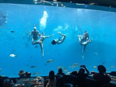 -瑞德姆美人鱼海底演艺主题餐厅(亚龙湾店)