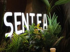 -SENTEA森茶(麦地丽日店)