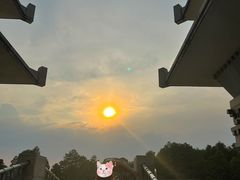 -东湖落雁景区