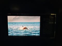 -同济大学四平路校区深海探索馆