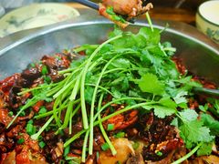 肥肠-天治宣·野椒鸡(龙头寺总店)