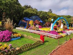 -上海共青森林公园