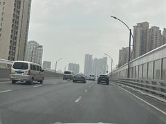 -绿杨春·淮扬宴(庐山路店)
