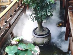 -三只耳火锅(宽窄巷子店)