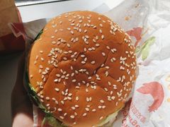 麦辣鸡腿汉堡经典中薯条套餐-麦当劳(团结湖店)