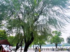 -济南大明湖景区