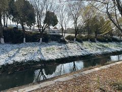 -羊山湖公园