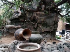 -泰山花样年华景区