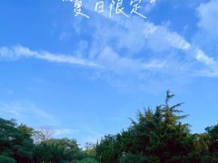 -燕儿岛山公园