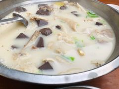 羊肉汤-野狗羊肉汤