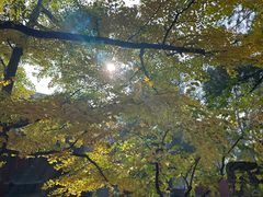 -红螺寺
