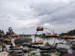 -荷兰花海