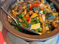 -蛙小侠(天成店)