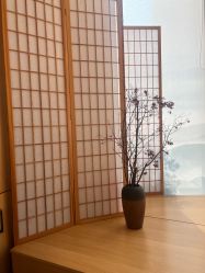 点击看大图 -宥莉·ULLY 痘敏肌•科技皮肤管理中心