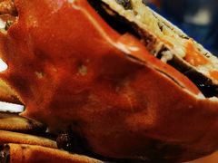 特色蟹脚-西新饭店(城中店)