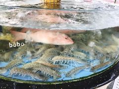 -春园海鲜广场D区6号(钟姐海鲜加工店)