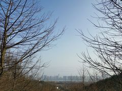 -西湖风景区-江洋畈生态公园
