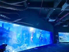 -江和美海洋公园