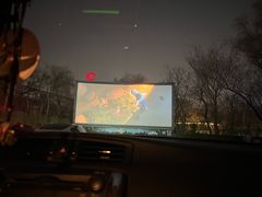 -枫花园汽车电影院(朝阳公园店)