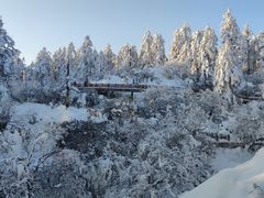 -瓦屋山景区