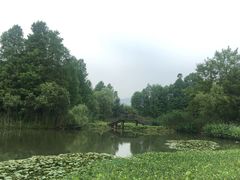 -西溪国家湿地公园