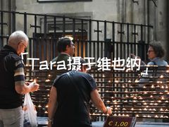 -斯蒂芬主教座堂(Stephansdom)
