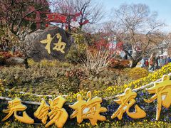 -无锡梅园公园