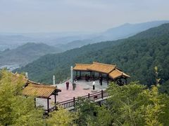 -铁山坪森林公园