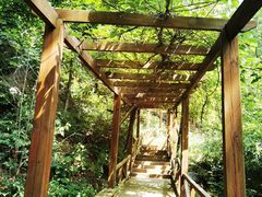 -大岭沟猕猴桃谷风景区