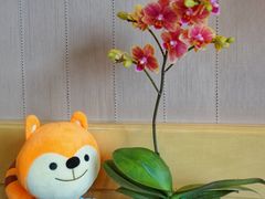 -杭州城中香格里拉大酒店