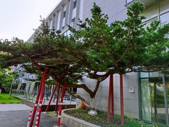 -锦江都城闵行饭店