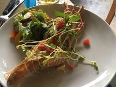 -Onion restaurant