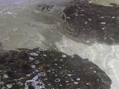 -常州海昌海洋探索馆