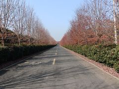 -南京枫彩漫城