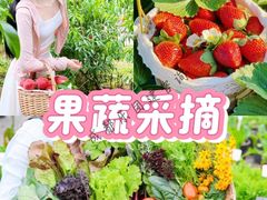 -三圣花乡旅游区